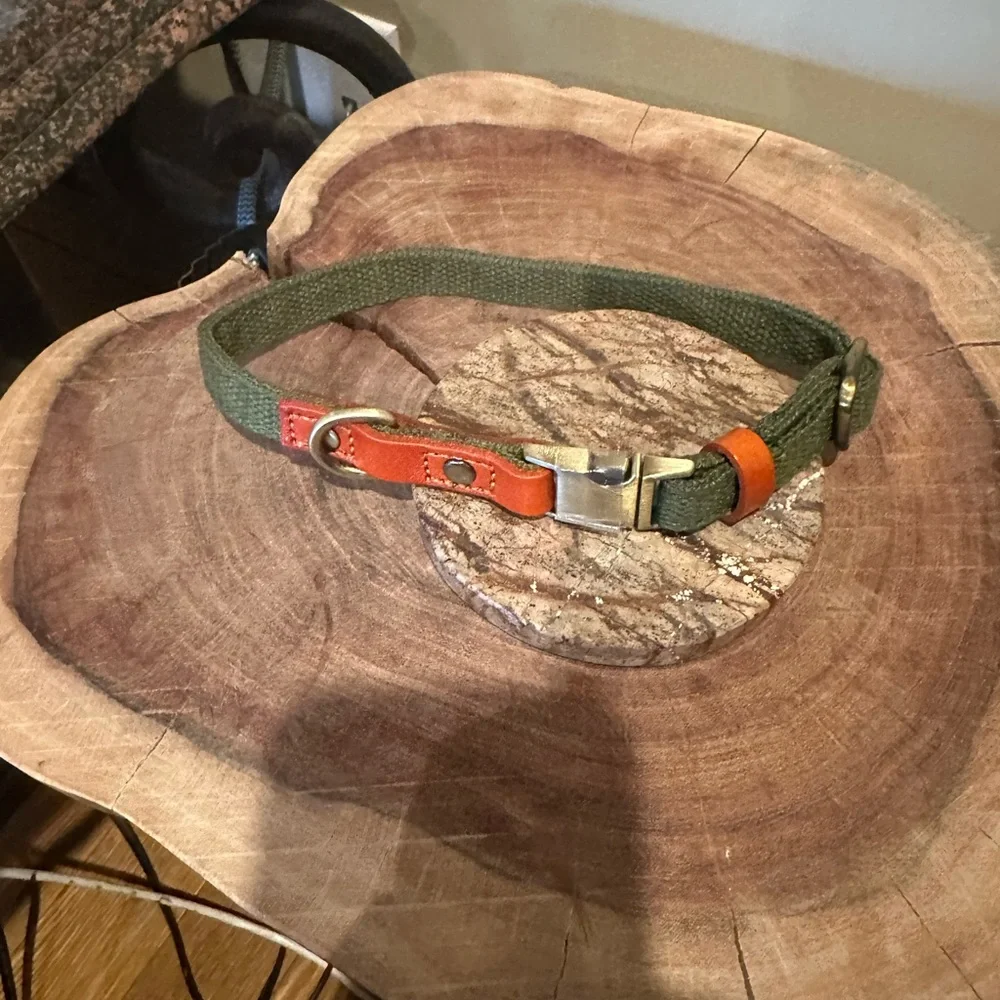 Ajustable Custom Dog Collar with Quick Release Buckle
